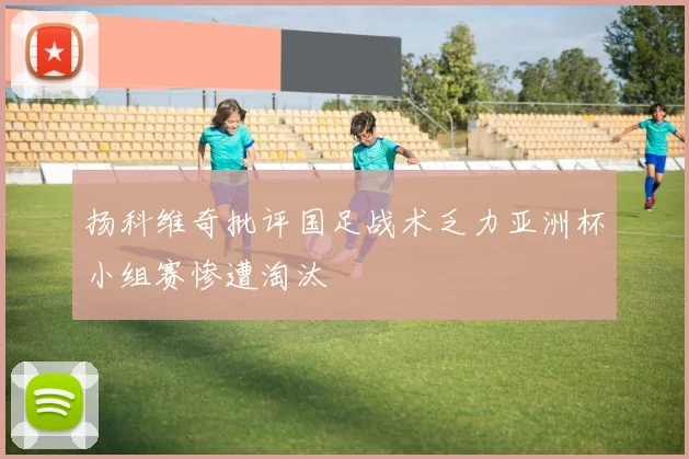 扬科维奇批评国足战术乏力亚洲杯小组赛惨遭淘汰