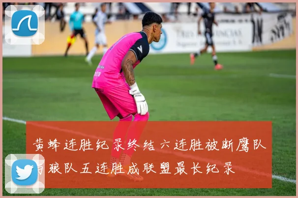 黄蜂连胜纪录终结六连胜被断鹰队与狼队五连胜成联盟最长纪录