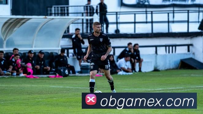 欧博官网平台生态图